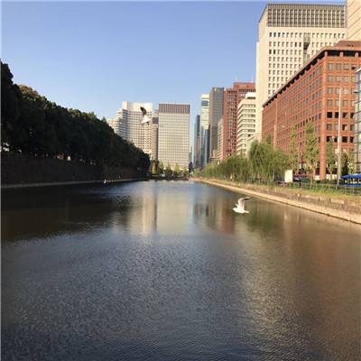 暴笑虫虫滑电线